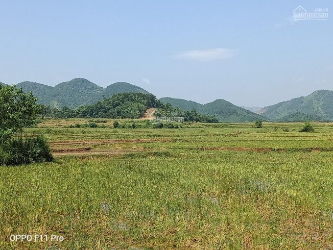 Chính Chủ Bán Nhanh 2969m2 đất View Hồ Lụa Yên Bình, Cánh đồng Mênh Mông0978659546 3