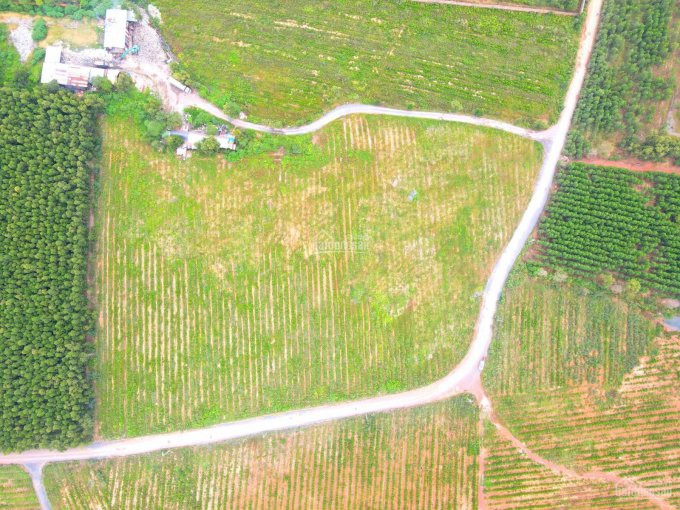 Chính Chủ Bán Nhanh 31000m2 đất Góc 2 Mặt Tiền, Thực Tế 3 Mặt Tiền Xã Hố Nai 3 Huyện Trảng Bom 1