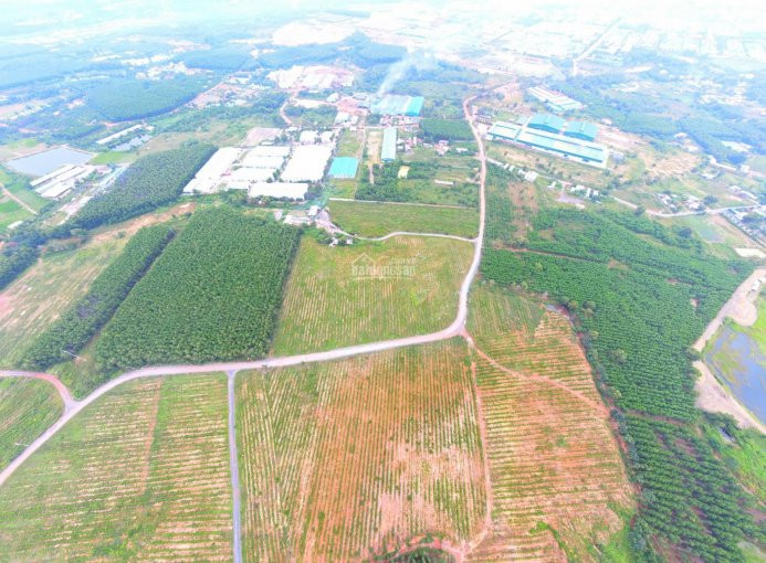 Chính Chủ Bán Nhanh 31000m2 đất Góc 2 Mặt Tiền, Thực Tế 3 Mặt Tiền Xã Hố Nai 3 Huyện Trảng Bom 2