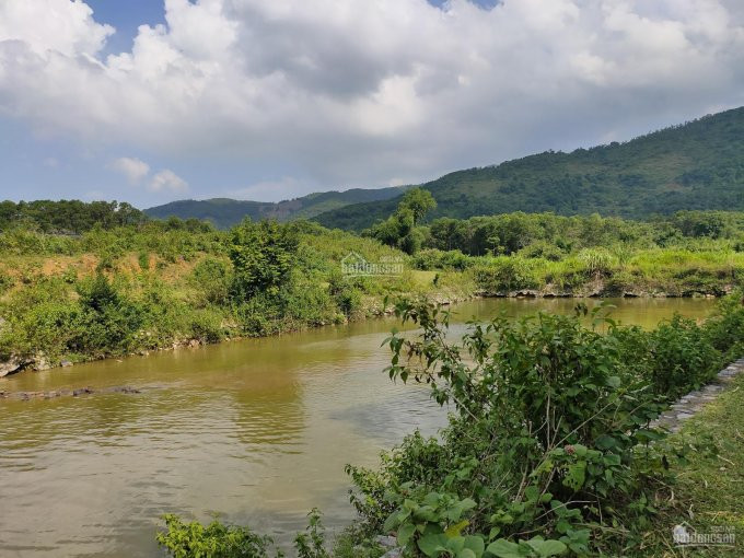 Chính Chủ Bán Nhanh 58ha Mặt Hồ Và đảo được Hình Thành Dự án Xuân Thuỷ đầu Tư Du Lịch Thuộc Xã Lương Nha, Thanh Sơn 6