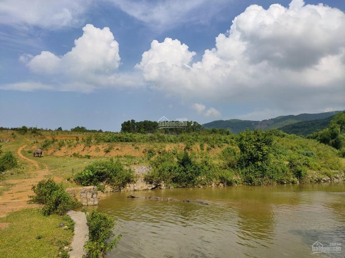 Chính Chủ Bán Nhanh 58ha Mặt Hồ Và đảo được Hình Thành Dự án Xuân Thuỷ đầu Tư Du Lịch Thuộc Xã Lương Nha, Thanh Sơn 8