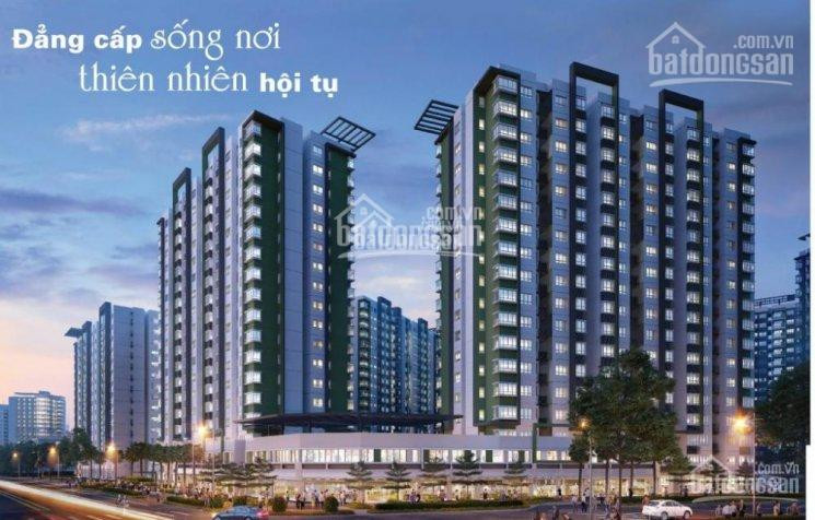 Chính Chủ Bán Nhanh Căn Hộ 2pn 71m2 Khu Emerald Celadon City, Giá Cực Hot So Với Thị Trường, Lh: 0936592937 1