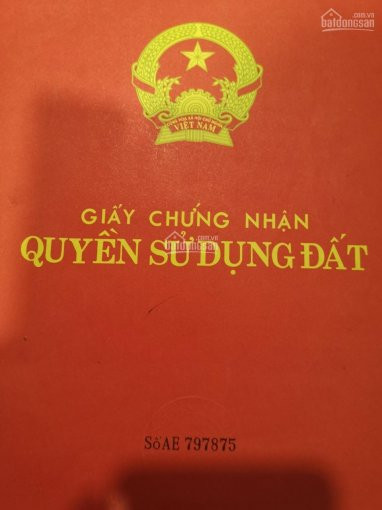 Chính Chủ Bán Nhanh Căn Hộ Chung Cư Toà Ct4 Diện Tích 57m2 - 2pn - 2 Wc Ban Công đông Nam, Full đồ, Giá 1,650 Tỷ 1