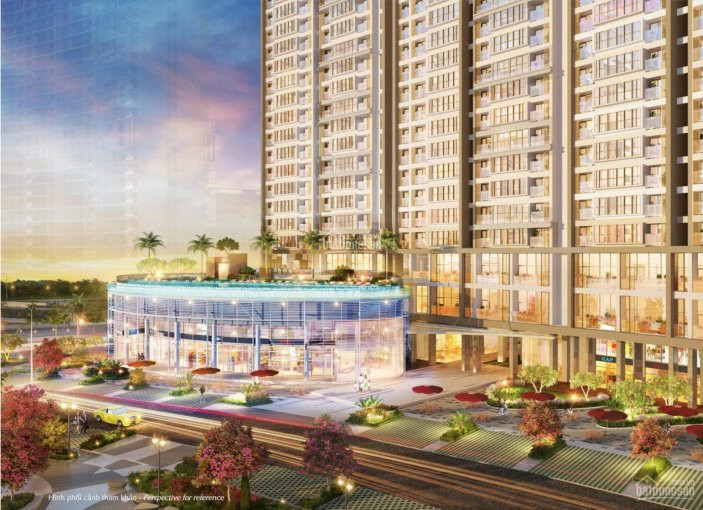 Chính Chủ Bán Nhanh Căn Midtown M7 Lỗ 250 Triệu - Có ô để Xe Hơi Diện Tích 80m2 - Tư Vấn, Xem Nhà Miễn Phí 24/7 2