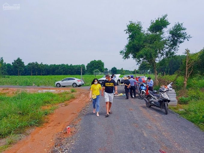 Chính Chủ Bán Nhanh đất Giá Rẻ Sát Khu Công Nghiệp đất đỏ, Bà Rịa Vũng Tàu, Diện Tích 191m2 Thổ Cư 60m2 3