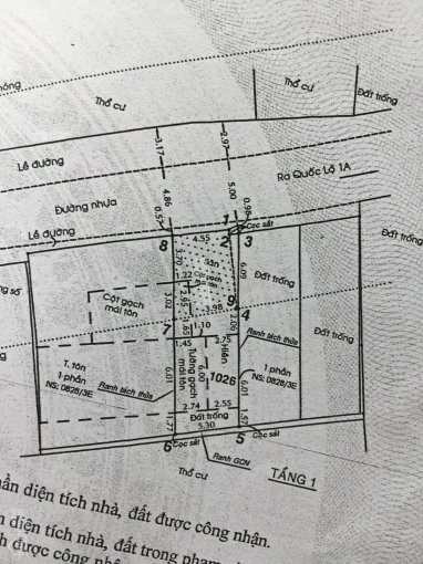 Chính Chủ Bán Nhanh đất Mặt Tiền An Phú đông 27 4