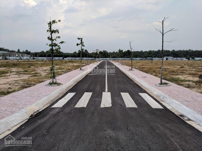 Chính Chủ Bán Nhanh đất Nền Dự án Royal Dream City Xây Trọ đối Diện Khu Công Nghiệp Giang điền, Lh Chủ đầu Tư Kd 3