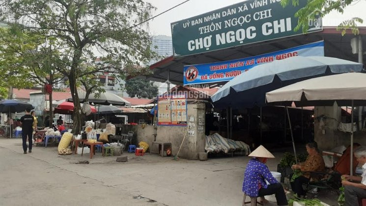 Chính Chủ Bán Nhanh đất Ngọc Chi, Vĩnh Ngọc 76m2, Mt 55m View Hồ, đường ô Tô, 2 Tỷ 5 3