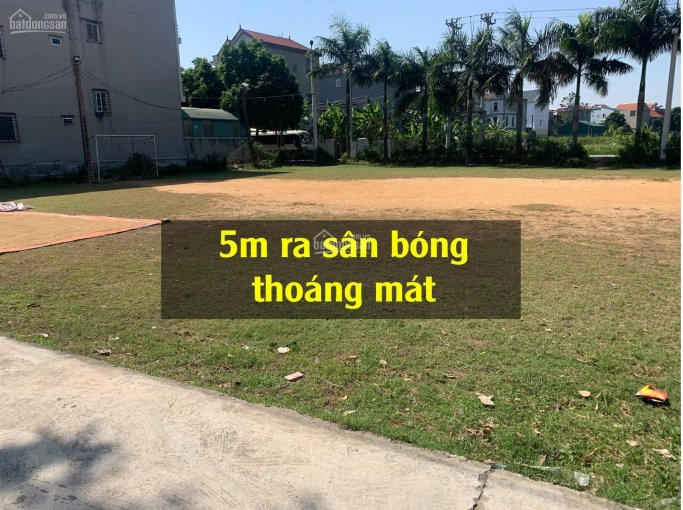 Chính Chủ Bán Nhanh đất Tại Xóm Dõng Cổ Loa Tiện ích Cực Tốt Tại Cổ Loa Lh ;0981288566 2