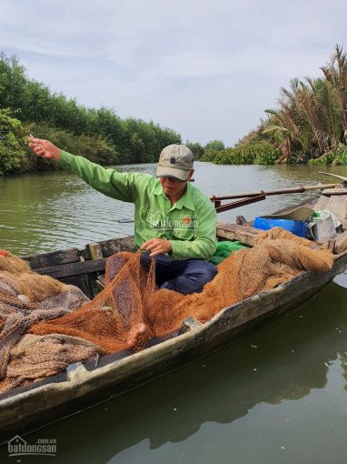 Chính Chủ Bán Nhanh đất  Tờ Bđ 43  Cát Lái Xã Phú Hữu, Huyện Nhơn Trạch đn Giá 1,5 Tỷ/1000m2 Lh 0967567807 2