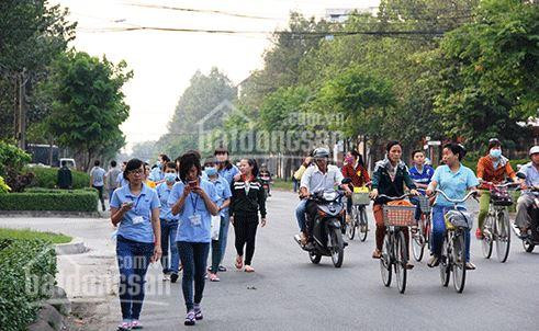 Chính Chủ Bán Nhanh Dãy Trọ Gồm 16 Phòng, đang Cho Thuê Kín Và 180m2 đất Thổ Cư, Lh: Cô Diễm 6