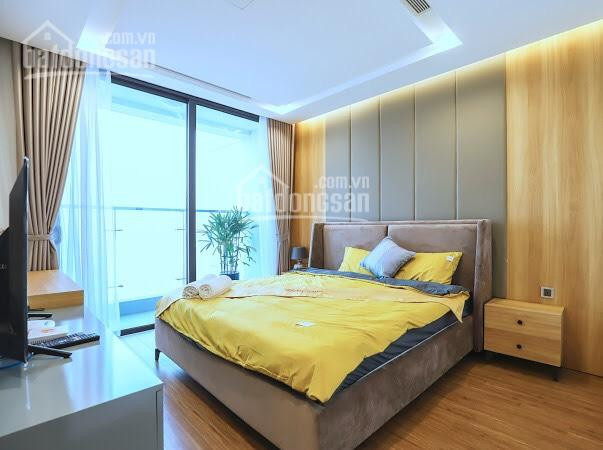 Chính Chủ Bán Nhanh Gấp Cắt Lỗ 1,5 Tỷ Vinhomes Metropolis 29 Liễu Giai 115m2, 3pn Ban Công đông Nam Lh O945575668 3