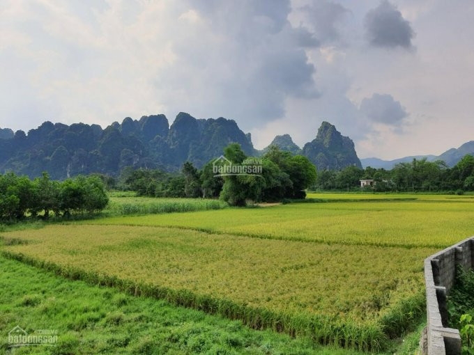 Chính Chủ Bán Nhanh Gấp đất Nghỉ Dưỡng View Tuyệt đỉnh Tại Lương Sơn, Hòa Bình Diện Tích 3000m2 2