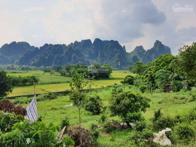 Chính Chủ Bán Nhanh Gấp đất Nghỉ Dưỡng View Tuyệt đỉnh Tại Lương Sơn, Hòa Bình Diện Tích 3000m2 3