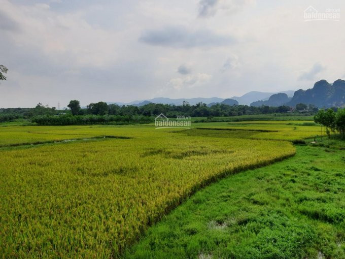 Chính Chủ Bán Nhanh Gấp đất Nghỉ Dưỡng View Tuyệt đỉnh Tại Lương Sơn, Hòa Bình Diện Tích 3000m2 4