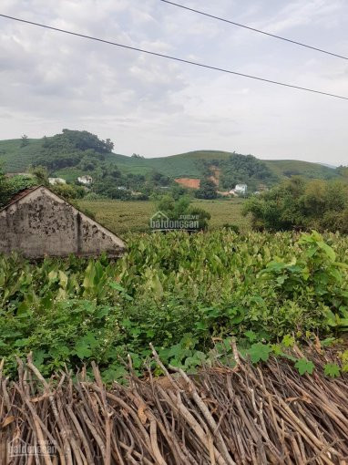 Chính Chủ Bán Nhanh Gấp Lô đất 2570m2 Xã Minh Quang, Ba Vì, Hà Nội Chi Tiết Liên Hệ Thu Hương: 0975349726 4