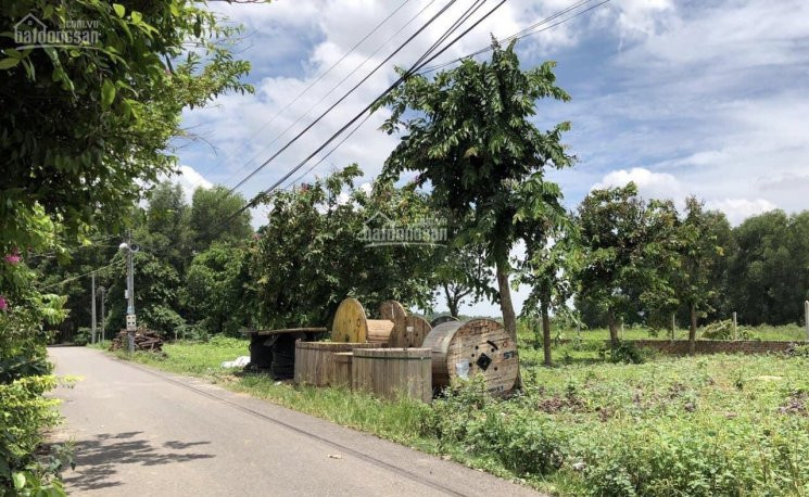 Chính Chủ Bán Nhanh Hơn 1 Sào Mặt Tiền đường Nhựa Hẻm đỗ Văn Thi 1