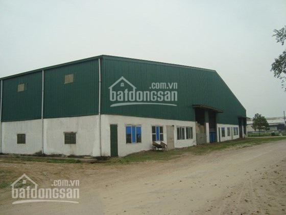 Chính Chủ Bán Nhanh Kho Xưởng Dt 2400m2, 5000m2 Kcn Lai Xá, Hoài đức, Hà Nội Lh 0979 929 686 2