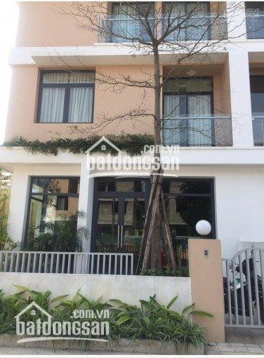 Chính Chủ Bán Nhanh Lại Lô Bt An Phú Shop Villa Kđt Dương Nội, Hà đông, 202,5m2, đường 27m 0982545767 1