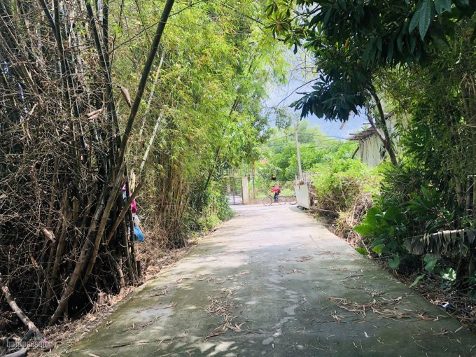 Chính Chủ Bán Nhanh Lô đường 5m Thôn Phong Nam - Hoà Châu - Lô Sạch ô Tô Ra Vào Vô Tư 2