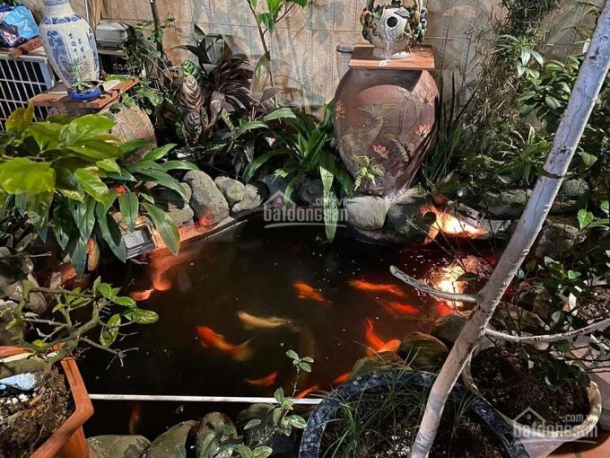 Chính Chủ Bán Nhanh Nhà Hồ Tùng Mậu, Diện Tích 137m2, Nhà 3 Tầng Sân Vườn, Mt 97m 5