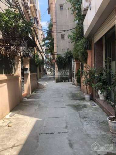 Chính Chủ Bán Nhanh Nhà Tại Ngõ 85 Tân Phong 110m2, Mt 5m, Lô Góc 2 Mặt Ngõ, đầu Tư Chia Lô, Sinh Lời Ngay 1