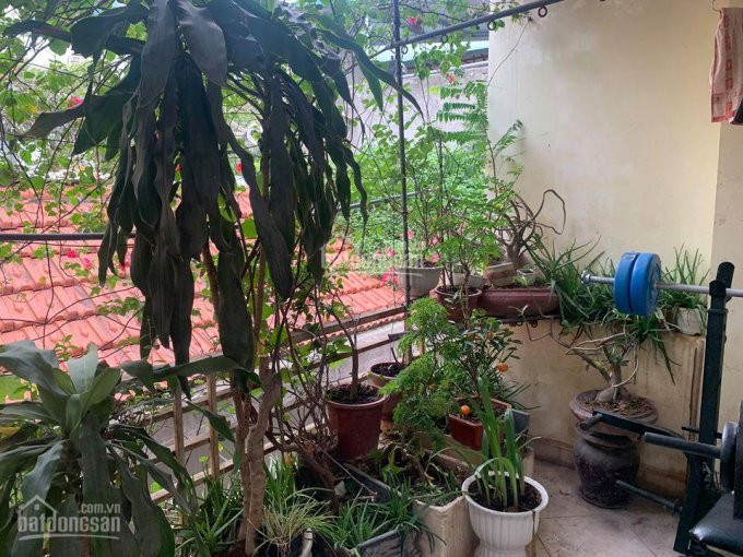 Chính Chủ Bán Nhanh Nhà Xã đàn, đống đa Nhà 6 Tầng Cách Mặt Phố 20m, Ngõ Thẳng Tắp Rộng 3m Chỉ Nhỉnh 3 Tỷ 2