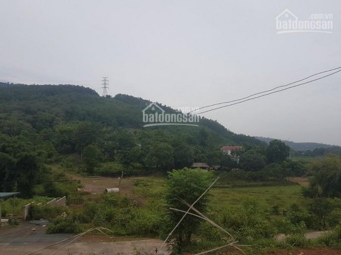 Chính Chủ Bán Nhanh Nhanh 5500m2 Hoà Sơn, Lương Sơn, Hoà Bình, Thích Hợp Làm Nhà Vườn, Phân Lô 3