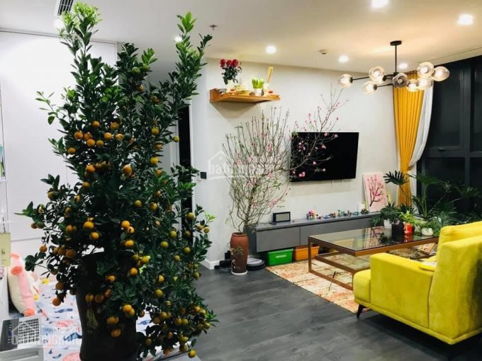 Chính Chủ Bán Nhanh Nhanh Căn Hộ Studio 102 Tỷ, 1n1k 185 Tỷ,  2pn 187 Tỷ, 3pn 36 Tỷ Tại Greenbay - 0386898889 1