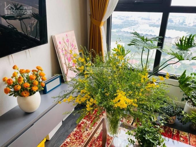 Chính Chủ Bán Nhanh Nhanh Căn Hộ Studio 102 Tỷ, 1n1k 185 Tỷ,  2pn 187 Tỷ, 3pn 36 Tỷ Tại Greenbay - 0386898889 6