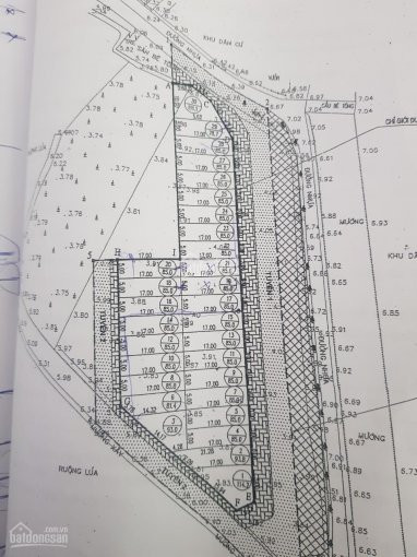 Chính Chủ Bán Nhanh Nhanh Lô đất đấu Giá điểm X2 Hương Trầm, Thụy Lâm 85m2 6