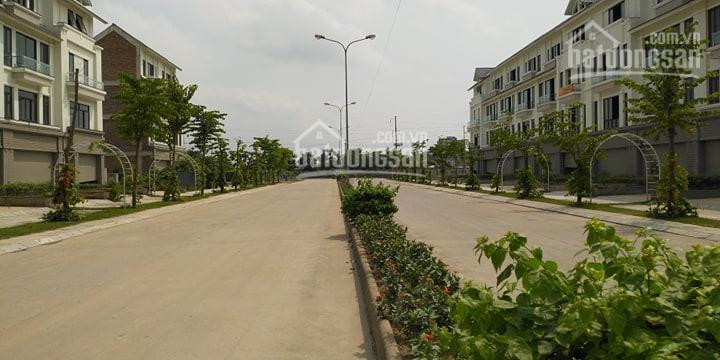 Chính Chủ Bán Nhanh Nhanh Shophouse D49 Dt 144m2, Mặt đường đôi 27m Khu D Geleximco, Giá Rẻ 2