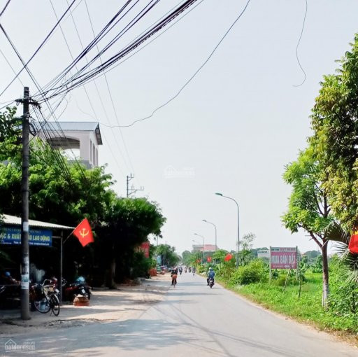 Chính Chủ Bán Nhanh Xã Hạ Bằng 80m, 100m, 200m 3