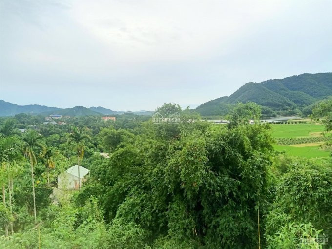 Chính Chủ Cần Bán 12000m2 Bằng 12ha Mặt đường 446, Giá 28tr/1m2 View Hồ, 0971274648 6