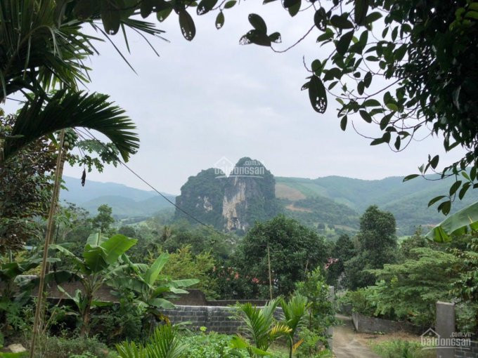 Chính Chủ Cần Bán 4000m Tại Xã Lâm Sơn Huyện Lương Sơnnhà Cửa Sẵn ở View Tuyệt đẹp Tiện Giao Thông 1