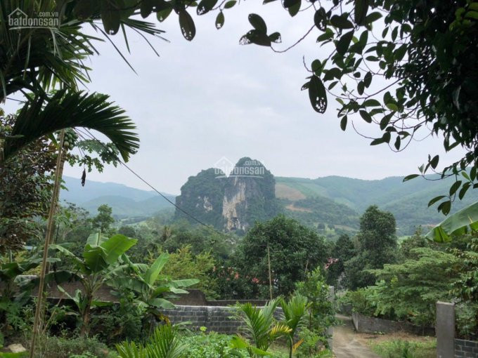 Chính Chủ Cần Bán 4000m Tại Xã Lâm Sơn Huyện Lương Sơnnhà Cửa Sẵn ở View Tuyệt đẹp Tiện Giao Thông 2