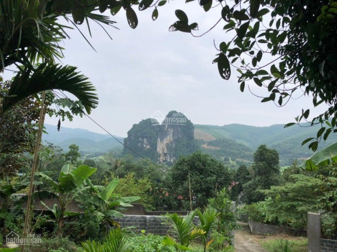 Chính Chủ Cần Bán 4000m Tại Xã Lâm Sơn Huyện Lương Sơnnhà Cửa Sẵn ở View Tuyệt đẹp Tiện Giao Thông 7