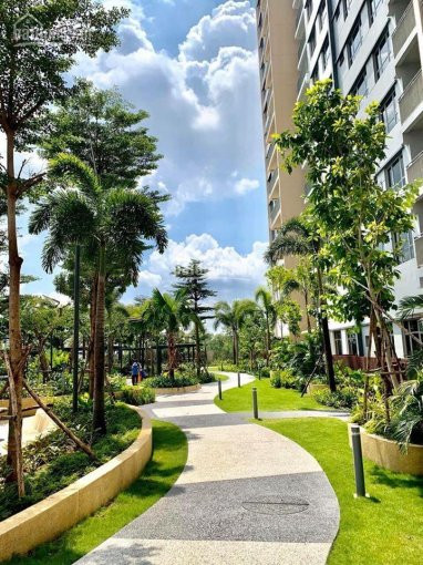 Chính Chủ Cần Bán Căn 3pn 121m2 Palm Heights Quận 2 Giá Bán 5350 Tỷ Tốt Nhất Thị Trường Gọi Ngay 0906907349 4