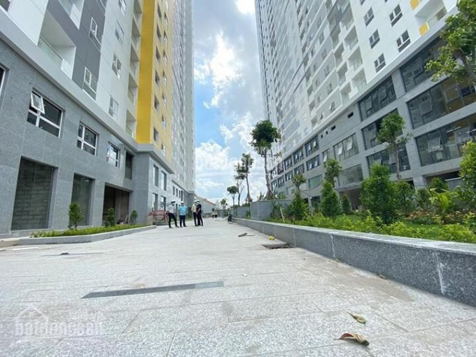 Chính Chủ Cần Bán Căn Hộ Diamond Riverside - 73m2 - 2pn - Block A - Giá 2050tỷ - Lh: 0902488255 4