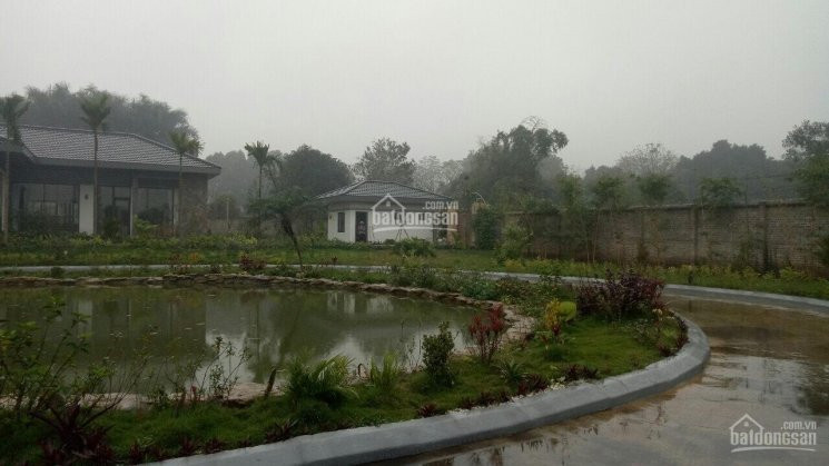 Chính Chủ Cần Bán Khuôn Viên Biệt Thự Nhà Vườn Bậc Nhất Tại Xã Cư Yên, Lương Sơn, Hb 3