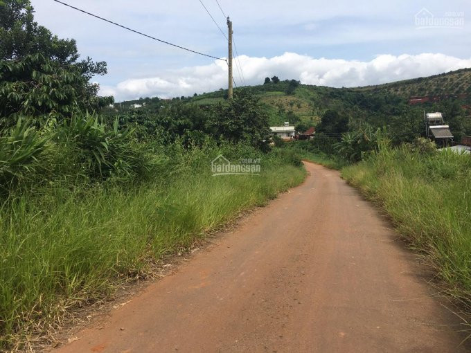 Chính Chủ Cần Bán Mảnh đất Tại Xã Nam Hà, Cách đà Lạt 26km 1