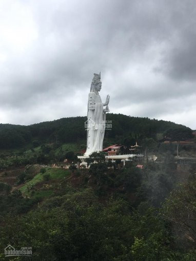 Chính Chủ Cần Bán Mảnh đất Tại Xã Nam Hà, Cách đà Lạt 26km 4