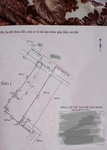 Chính Chủ Cần Bán Nhà Cấp 4 Hẻm 1 Xẹt đường Quang Trung 5x20 Giá Chỉ 53 Tỷ đang Cho Thuê Tháng 10 Triệu 1