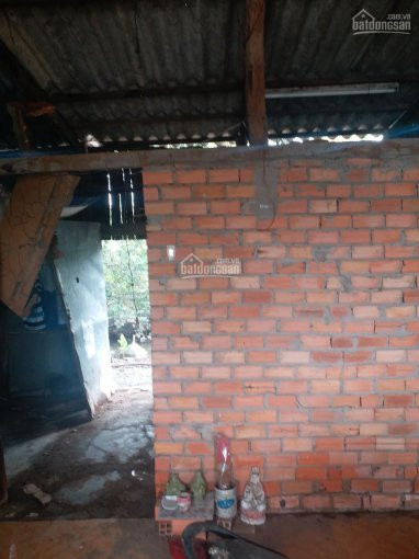 Chính Chủ Cần Bán Nhà Nát 200m2 Thổ Cư Kp3 Thị Trấn Tân Túc Bình Chánh 2