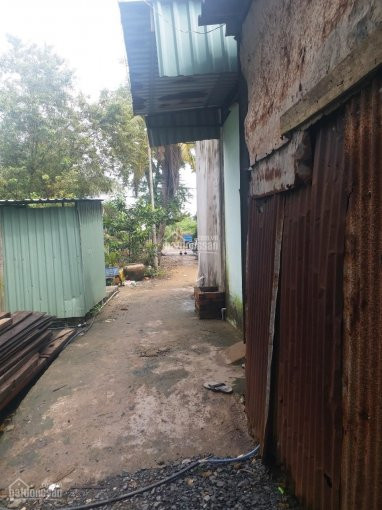 Chính Chủ Cần Bán Nhà Nát 200m2 Thổ Cư Kp3 Thị Trấn Tân Túc Bình Chánh 3