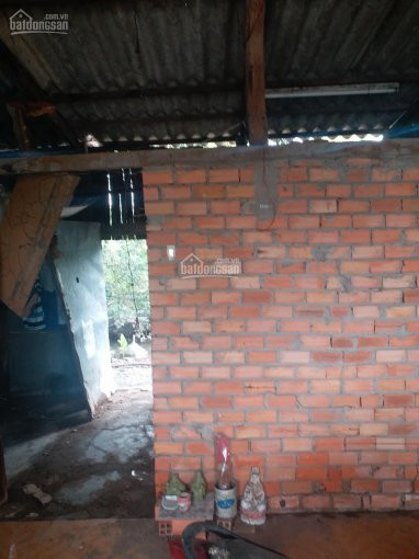 Chính Chủ Cần Bán Nhà Nát 200m2 Thổ Cư Kp3 Thị Trấn Tân Túc Bình Chánh 7