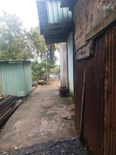 Chính Chủ Cần Bán Nhà Nát 200m2 Thổ Cư Kp3 Thị Trấn Tân Túc Bình Chánh 8