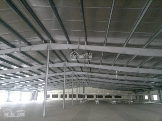 Chính Chủ Cần Cho Thuê Xưởng đẹp Diện Tích 2000m2, 3500m2, 4200m2 đến 10000m2 Tại Hải Phòng 2