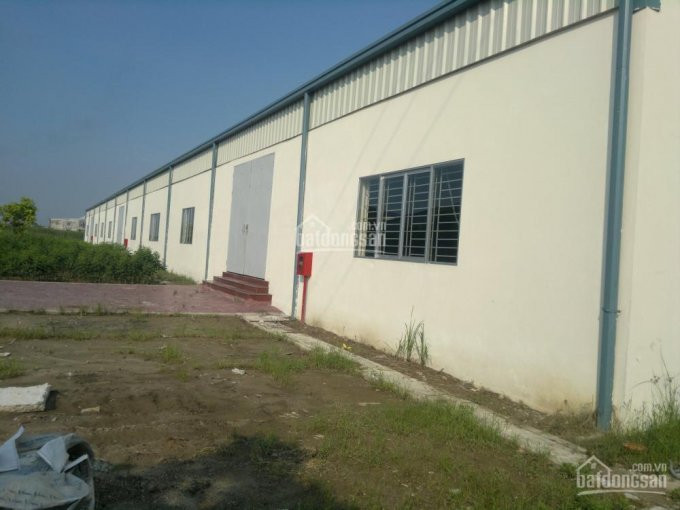 Chính Chủ Cần Cho Thuê Xưởng đẹp Diện Tích 2000m2, 3500m2, 4200m2 đến 10000m2 Tại Hải Phòng 5