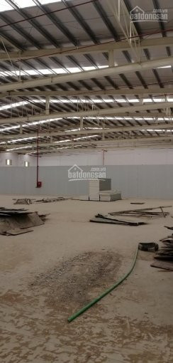 Chính Chủ Cho Thuê Nhanh Ba Kho Xưởng Diện Tích Từ 1600m2 Nằm Trong Cụm Kho Lớn 12000m2 Thuộc Kcn Tân đức Mở Rộng 3